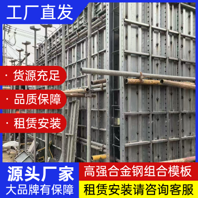 高強合金鋼組合模板