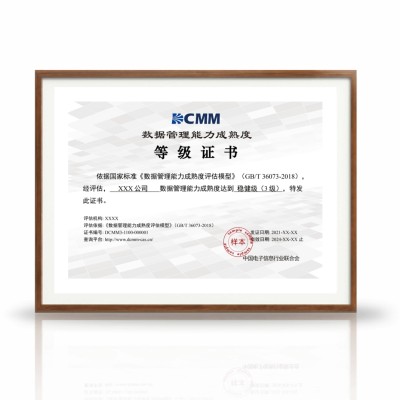 DCMM数据管理能力成熟度模型图1