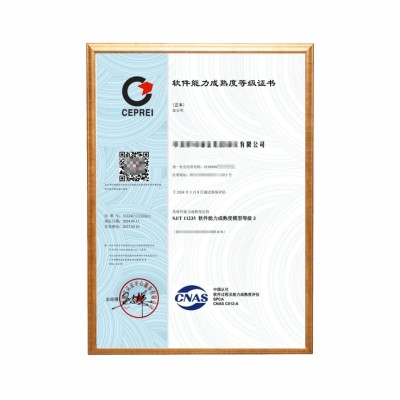 SPCA软件过程及能力成熟度评估图1