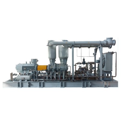 LYLG型工艺气体双螺杆压缩机系统图1