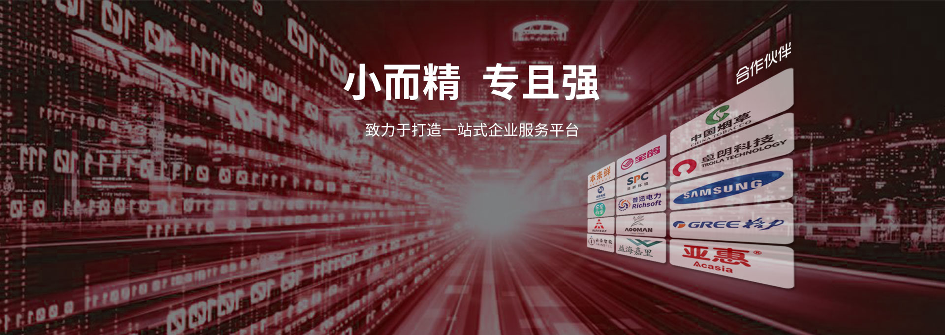 天津睿联质晟科技咨询股份有限公司