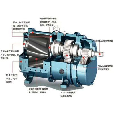 Schematic diagram of the double helix rotor pump structure